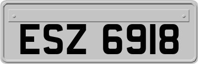 ESZ6918