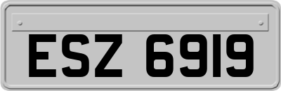 ESZ6919