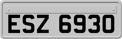 ESZ6930