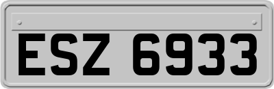 ESZ6933