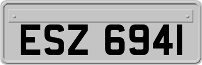 ESZ6941