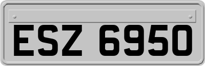 ESZ6950