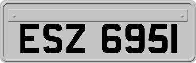 ESZ6951