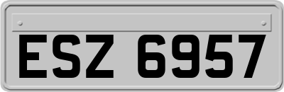 ESZ6957