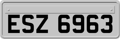 ESZ6963