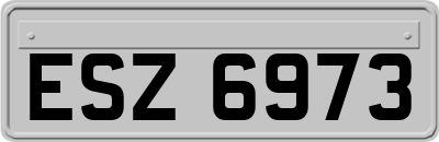 ESZ6973