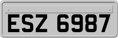 ESZ6987