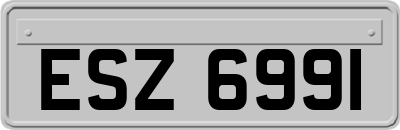 ESZ6991