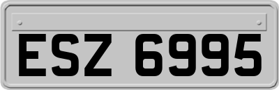 ESZ6995