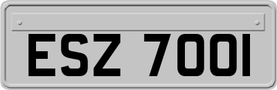 ESZ7001