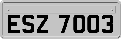 ESZ7003