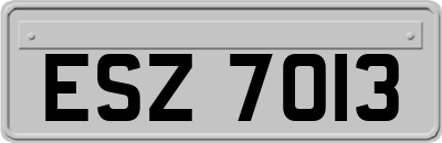 ESZ7013