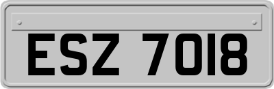 ESZ7018