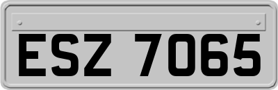 ESZ7065