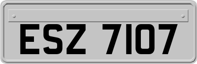 ESZ7107