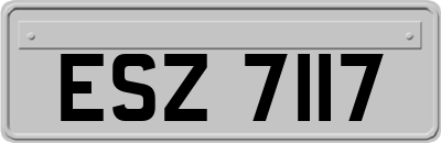 ESZ7117