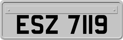 ESZ7119