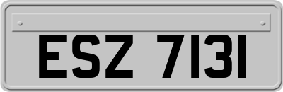 ESZ7131