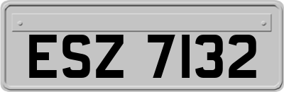 ESZ7132