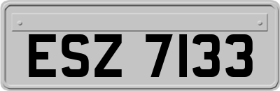 ESZ7133