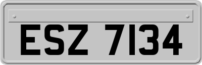 ESZ7134