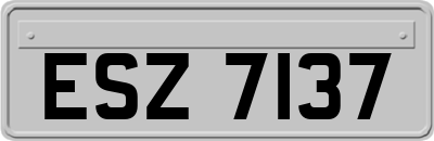 ESZ7137