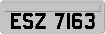ESZ7163