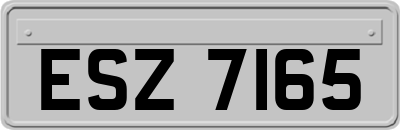 ESZ7165