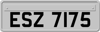 ESZ7175