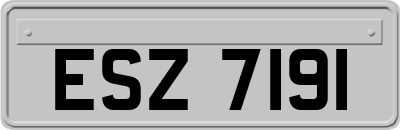 ESZ7191