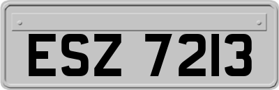 ESZ7213