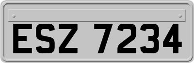 ESZ7234