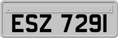 ESZ7291