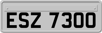 ESZ7300