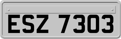 ESZ7303