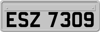 ESZ7309