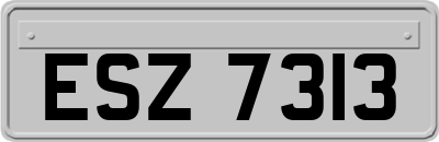 ESZ7313