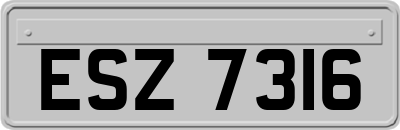 ESZ7316