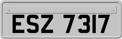 ESZ7317