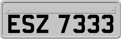 ESZ7333