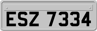 ESZ7334
