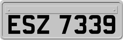 ESZ7339