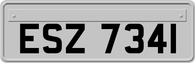ESZ7341