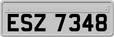 ESZ7348