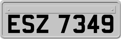 ESZ7349