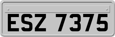 ESZ7375