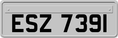 ESZ7391