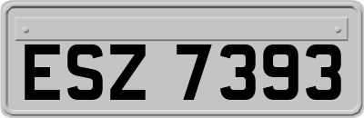 ESZ7393