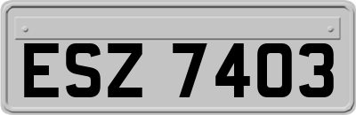 ESZ7403