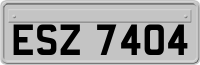 ESZ7404